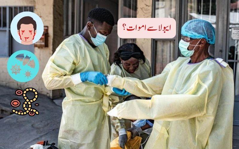 کانگو میں ایبولا سے 139 ہلاک۔689 مریضوں کی تعداد 